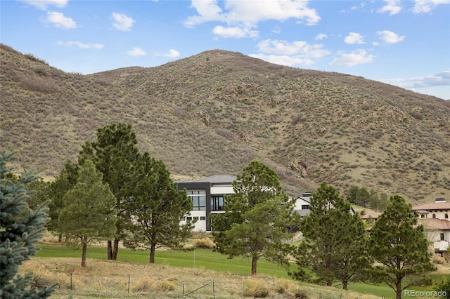 11227 Explorers Run, Littleton, CO 80125 - photo 39
