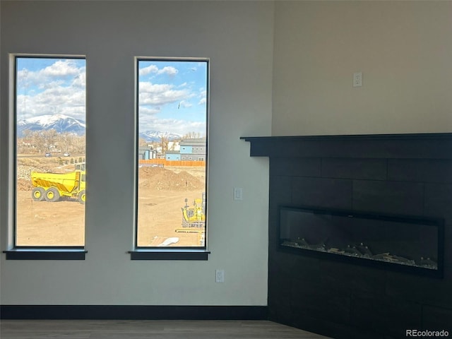 room details with wood-type flooring and a mountain view