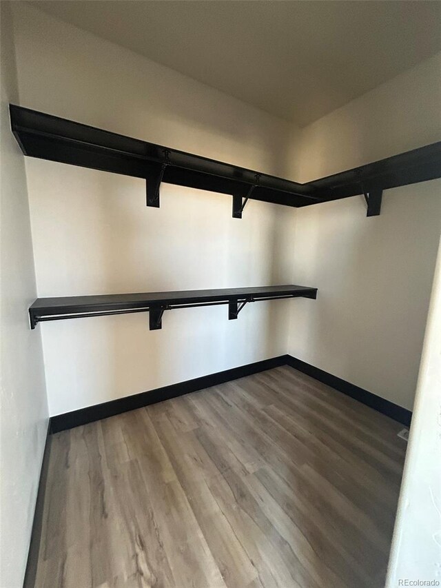 spacious closet featuring wood-type flooring