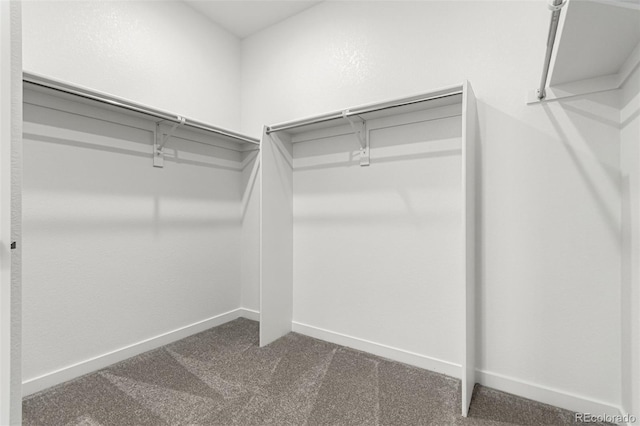 2651 E 102nd Pl, Thornton, CO 80229 - spacious closet with dark carpet