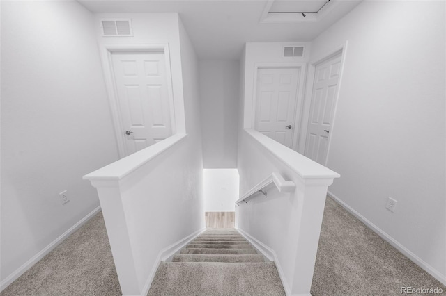 staircase featuring visible vents, baseboards, and carpet floors