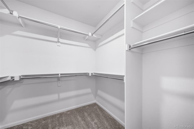 spacious closet featuring dark carpet