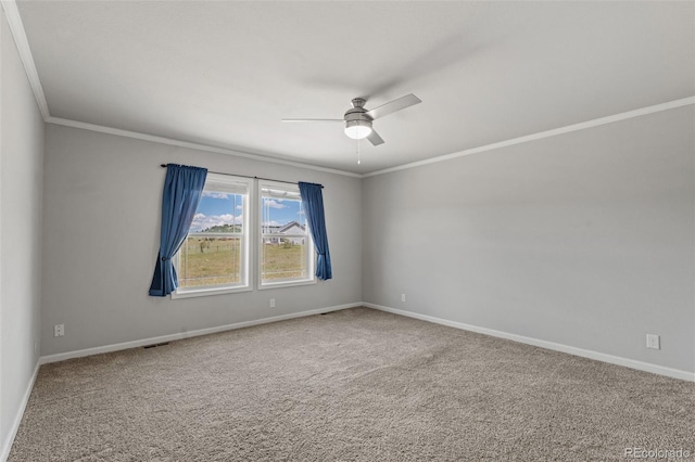 567 High Pasture Rd, Florissant, CO 80816 - photo 6