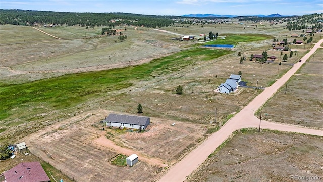 567 High Pasture Rd, Florissant, CO 80816 - photo 43