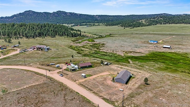 567 High Pasture Rd, Florissant, CO 80816 - photo 44