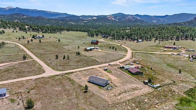 567 High Pasture Rd, Florissant, CO 80816 - photo 45