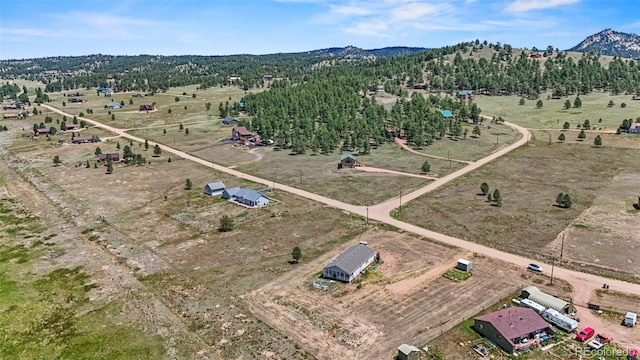 567 High Pasture Rd, Florissant, CO 80816 - photo 46