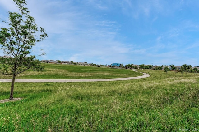 view of home's community featuring a yard