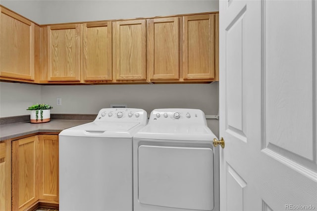 4678 Springmeadow Ln, Castle Rock, CO 80109 - photo 16