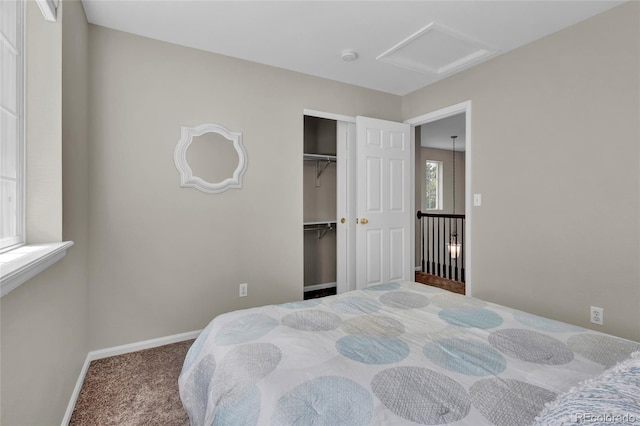 4678 Springmeadow Ln, Castle Rock, CO 80109 - photo 27