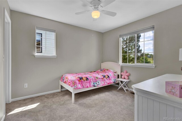 4678 Springmeadow Ln, Castle Rock, CO 80109 - photo 31