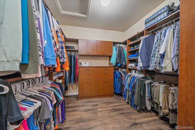 12590 Valentia St, Thornton, CO 80602 - walk in closet with attic access and wood finished floors