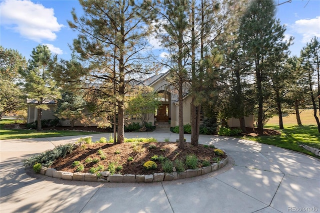 view of front facade featuring stucco siding and curved driveway