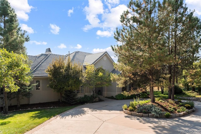 view of property hidden behind natural elements with a chimney, driveway, stucco siding, a tile roof, and a front lawn