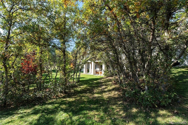 view of yard