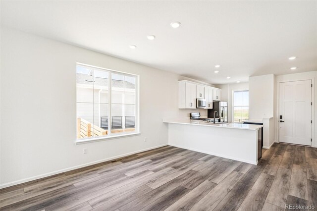9265 Cathay Ct, Commerce City, CO 80022 - photo 11