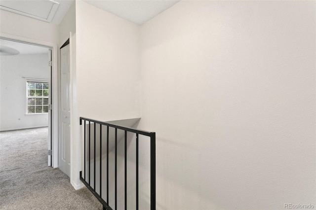 3459 Queen Anne Way, Colorado Springs, CO 80917 - photo 13