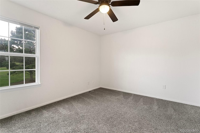 3459 Queen Anne Way, Colorado Springs, CO 80917 - photo 15