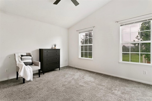 3459 Queen Anne Way, Colorado Springs, CO 80917 - photo 20
