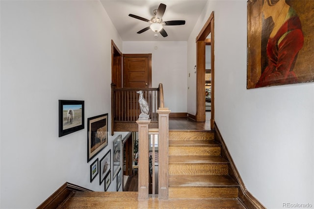 1521 Pontiac St, Denver, CO 80220 - stairs with ceiling fan and baseboards