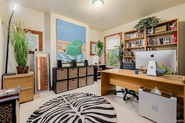 1521 Pontiac St, Denver, CO 80220 - office featuring light colored carpet