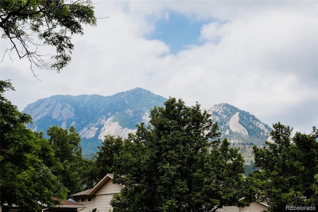 1312 Sandstone Ct, Boulder, CO 80305 - photo 39