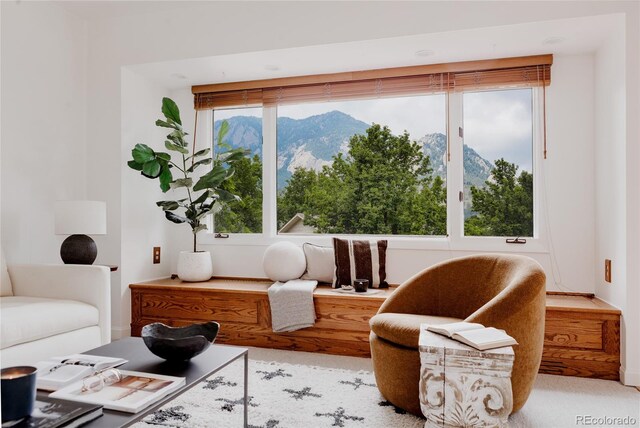 1312 Sandstone Ct, Boulder, CO 80305 - photo 44