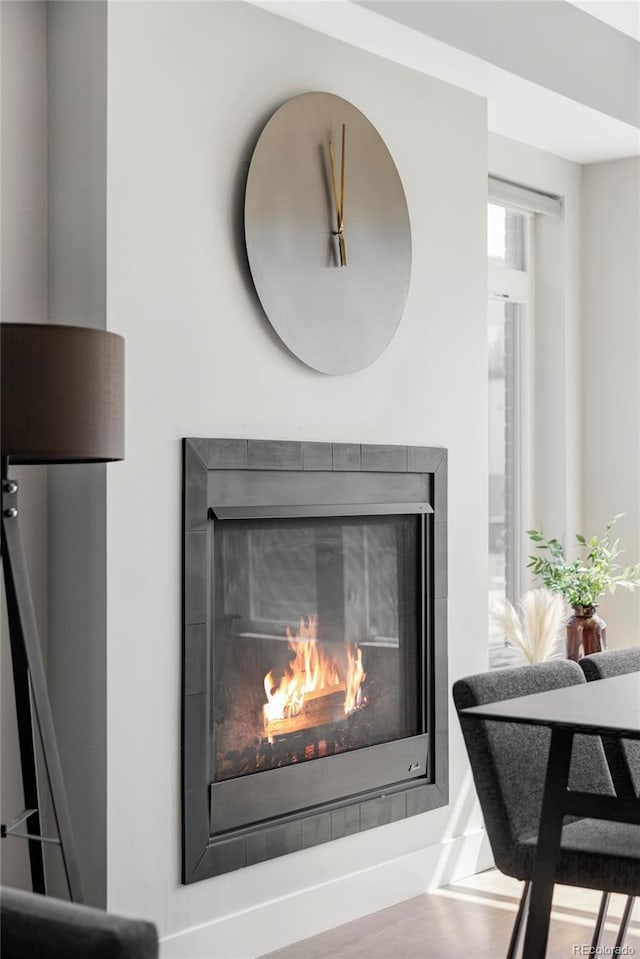 1457 Yates St, Denver, CO 80204 - detailed view of a glass covered fireplace and wood finished floors