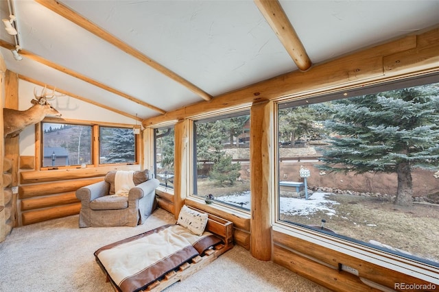 11531 S Deer Creek Rd, Littleton, CO 80127 - view of sunroom / solarium