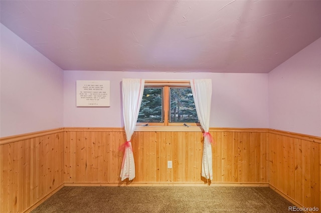 11531 S Deer Creek Rd, Littleton, CO 80127 - additional living space with wainscoting, carpet flooring, and wood walls