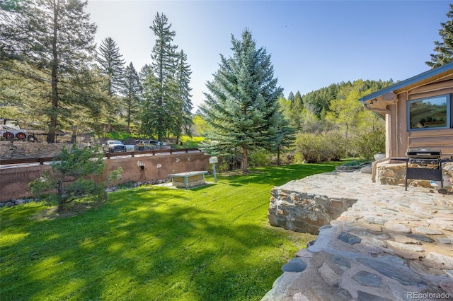 11531 S Deer Creek Rd, Littleton, CO 80127 - view of green lawn featuring a patio area