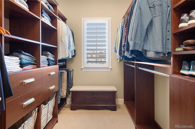 spacious closet with light carpet