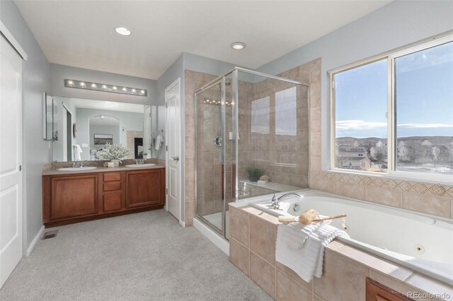 bathroom featuring a sink, a stall shower, and a wealth of natural light