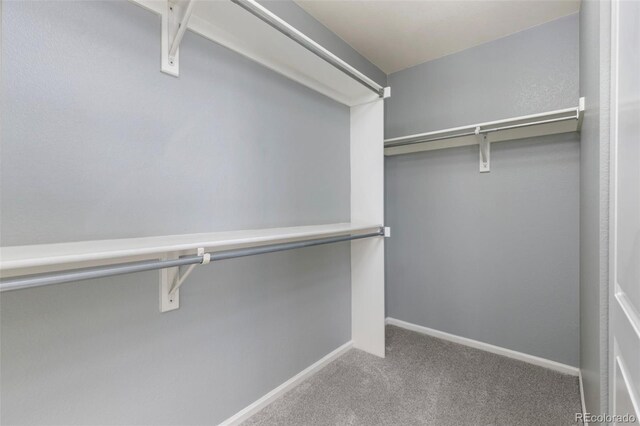 walk in closet featuring carpet