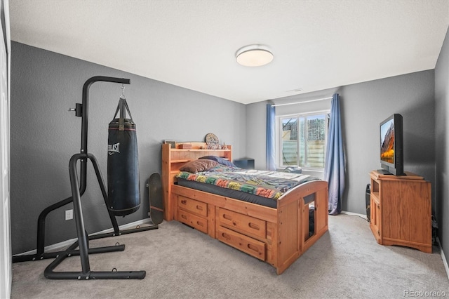 1360 Ancestra Dr, Fountain, CO 80817 - photo 30