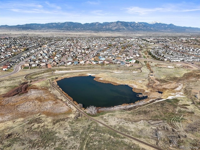 1360 Ancestra Dr, Fountain, CO 80817 - photo 43