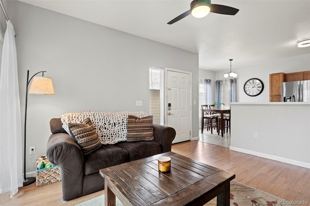 living room with ceiling fan and light wood-type flooring