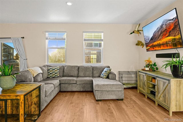 living room featuring light wood-type flooring