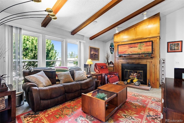 214 Poppy St, Golden, CO 80401 - carpeted living area with a glass covered fireplace and healthy amount of natural light
