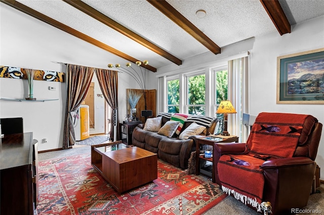 214 Poppy St, Golden, CO 80401 - carpeted living area with a textured ceiling