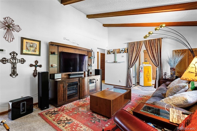 214 Poppy St, Golden, CO 80401 - living room featuring a textured ceiling and baseboards