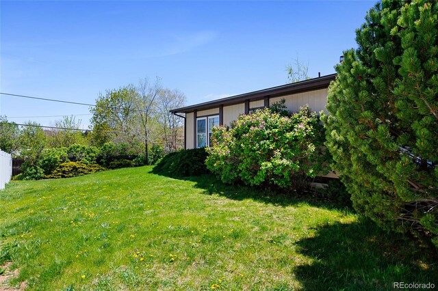 214 Poppy St, Golden, CO 80401 - view of green lawn