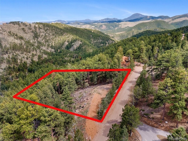 188 Lark Ln, Bailey, CO 80421