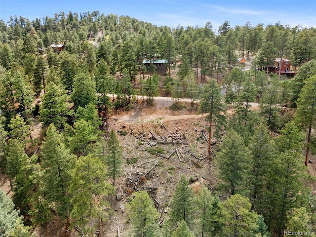 188 Lark Ln, Bailey, CO 80421
