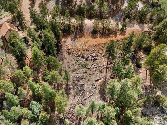 188 Lark Ln, Bailey, CO 80421