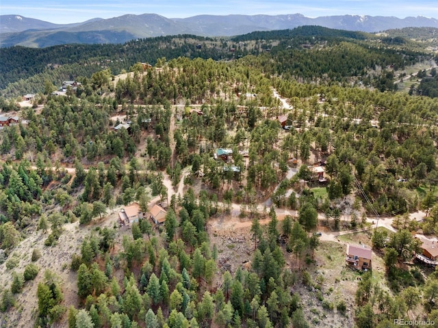188 Lark Ln, Bailey, CO 80421