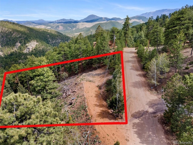 188 Lark Ln, Bailey, CO 80421