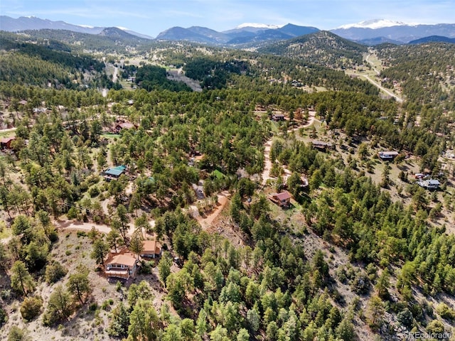 188 Lark Ln, Bailey, CO 80421