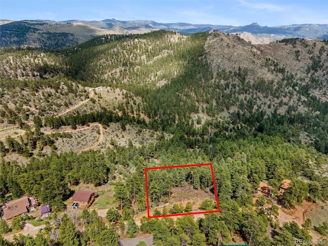 188 Lark Ln, Bailey, CO 80421