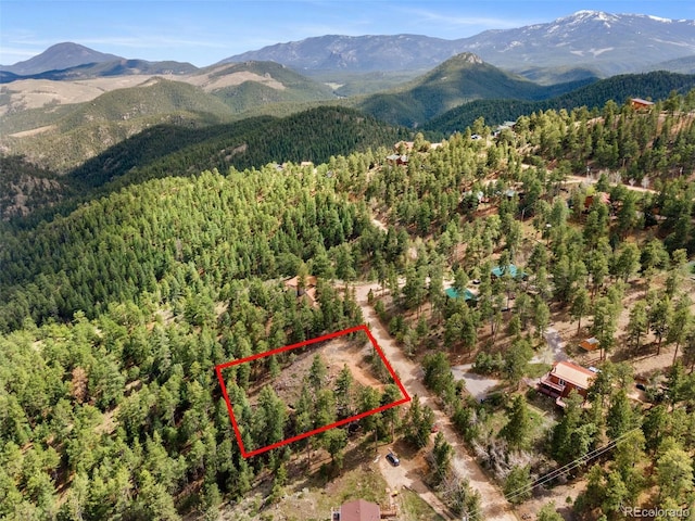 188 Lark Ln, Bailey, CO 80421